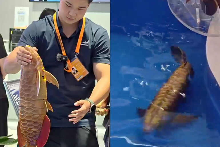 China Autonomous Robotic Fish Surveillance