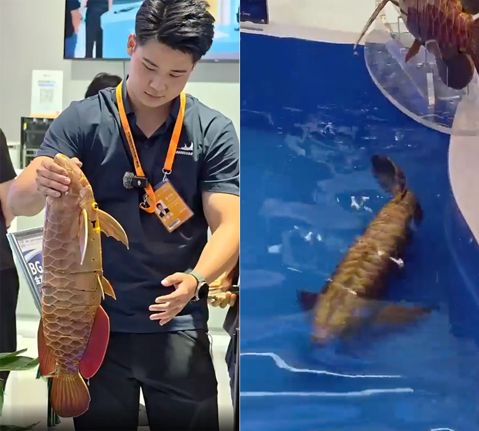 China Autonomous Robotic Fish Surveillance
