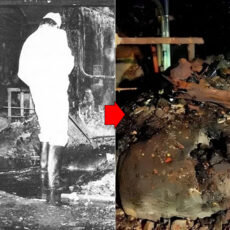Sampling Chernobyl's Elephant's Foot Study Disaster