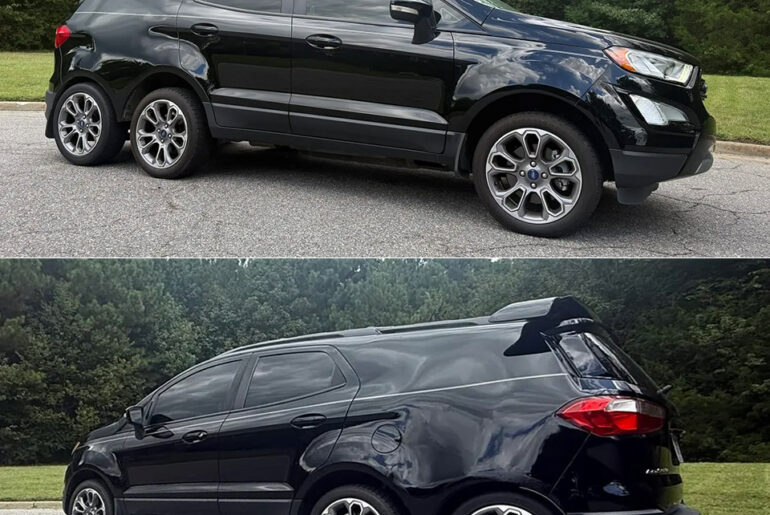 Six-Wheeled 2019 Ford EcoSport Titanium Stretch For Sale