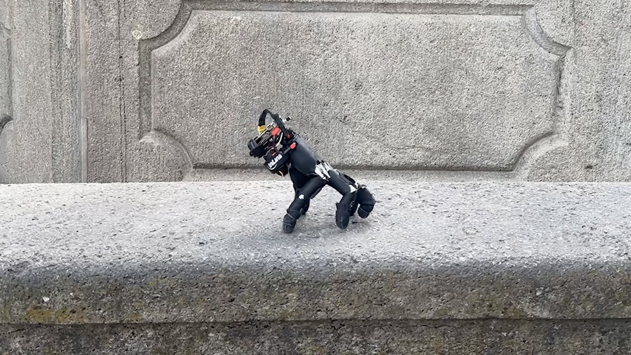 ETH Zurich Walking Robot Hand Wuii Thing