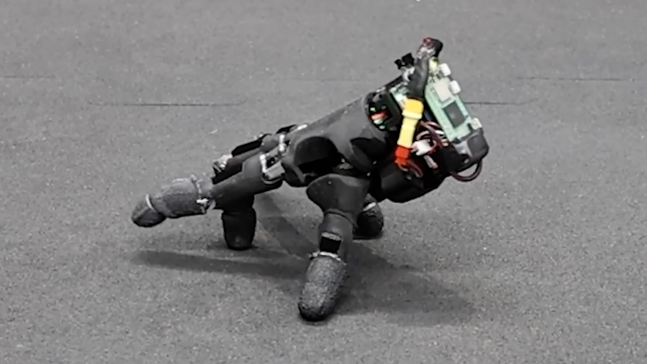 ETH Zurich Walking Robot Hand Wuii Thing