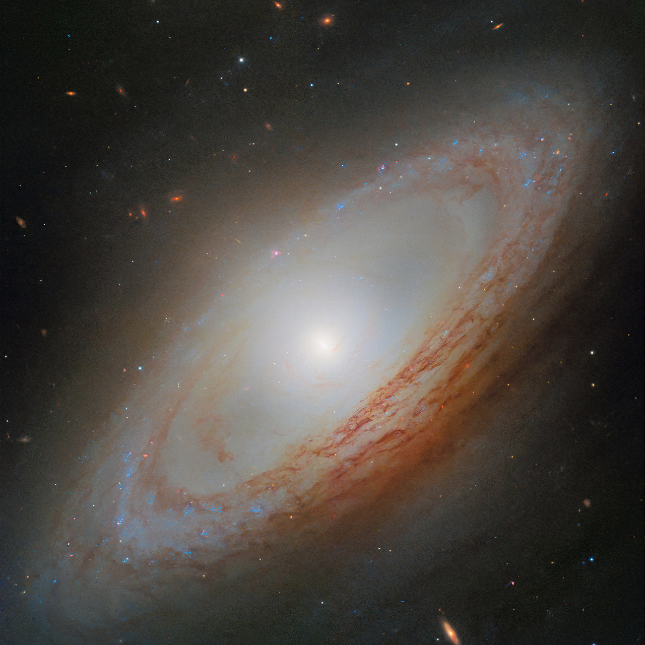 Hubble Space Telescope NGC 4698 Out of Sync Galaxy Virgo