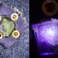 Making LEDs Home DIY Project Build