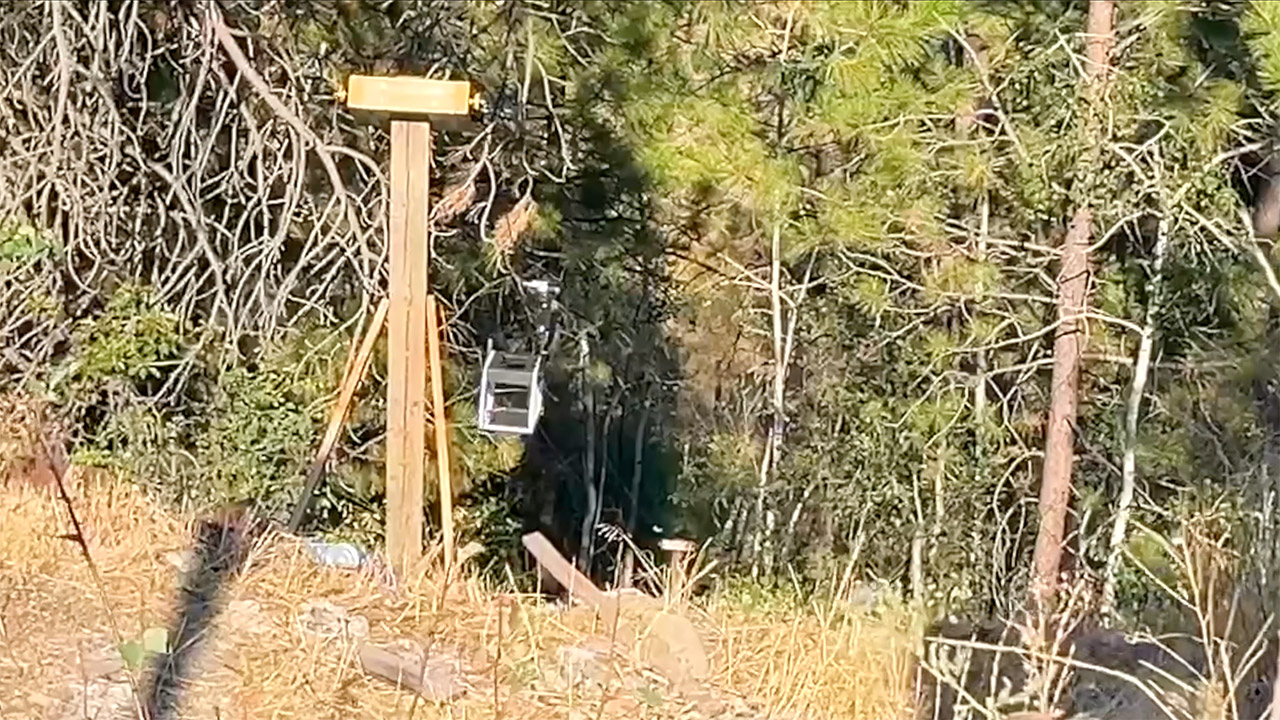 Public Transit Wild Mice Ski Lift Rodentram Express