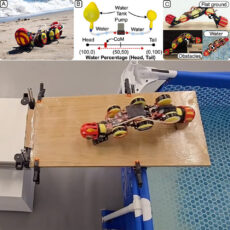 NYU WorMa Shape-Shifting Robot Stretch