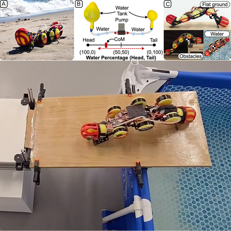 NYU WorMa Shape-Shifting Robot Stretch