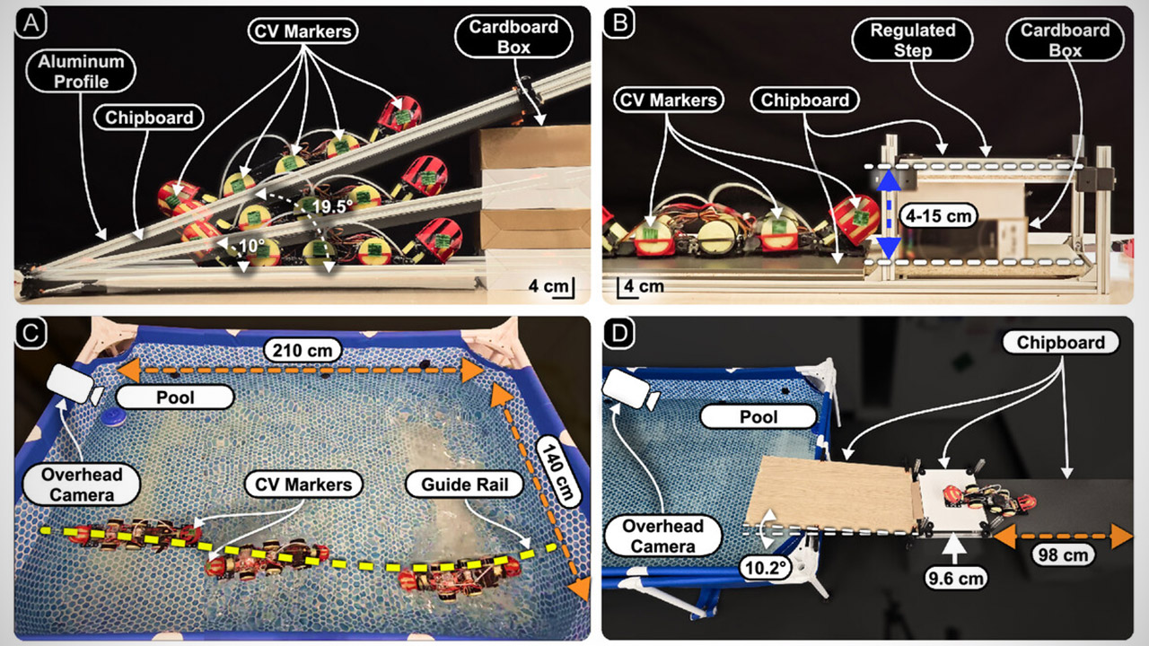 NYU WorMa Shape-Shifting Robot Stretch
