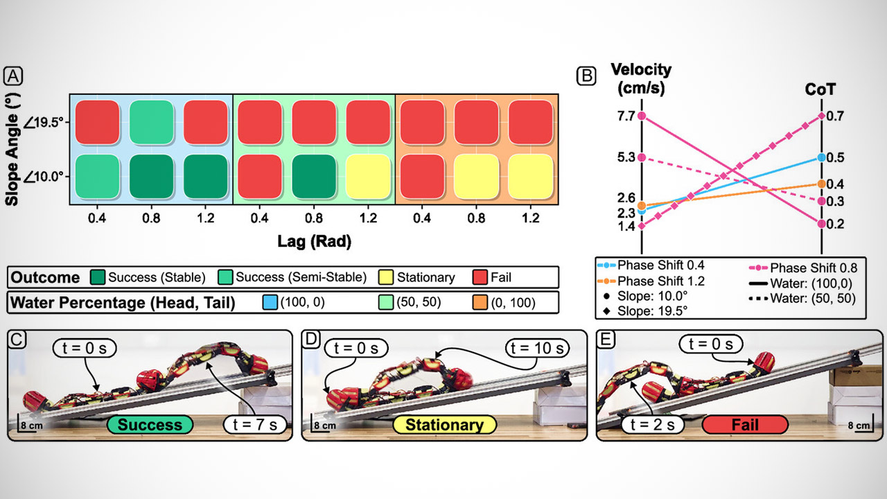 NYU WorMa Shape-Shifting Robot Stretch
