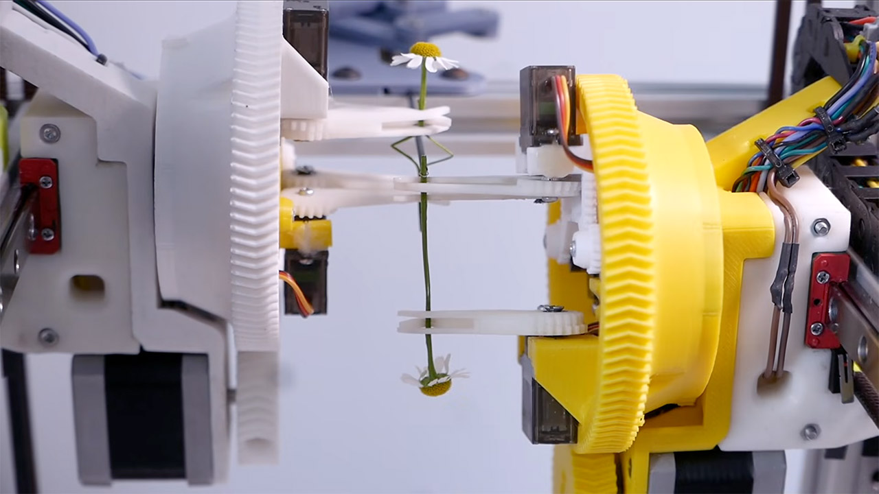 Daisy Robot Chaining Flowers