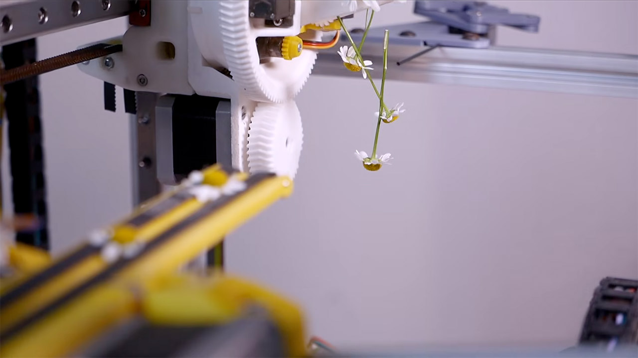 Daisy Robot Chaining Flowers