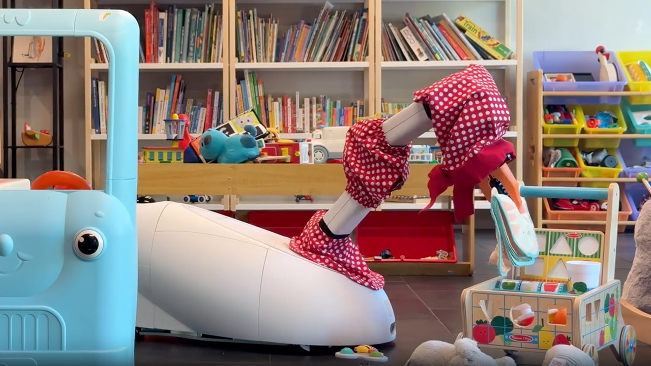 The Robot Works AI Goose Robot Household