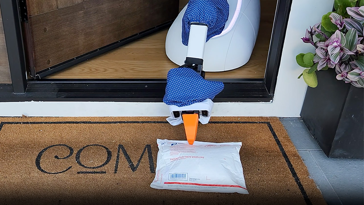 The Robot Works AI Goose Robot Household