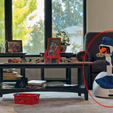 The Robot Works AI Goose Robot Household