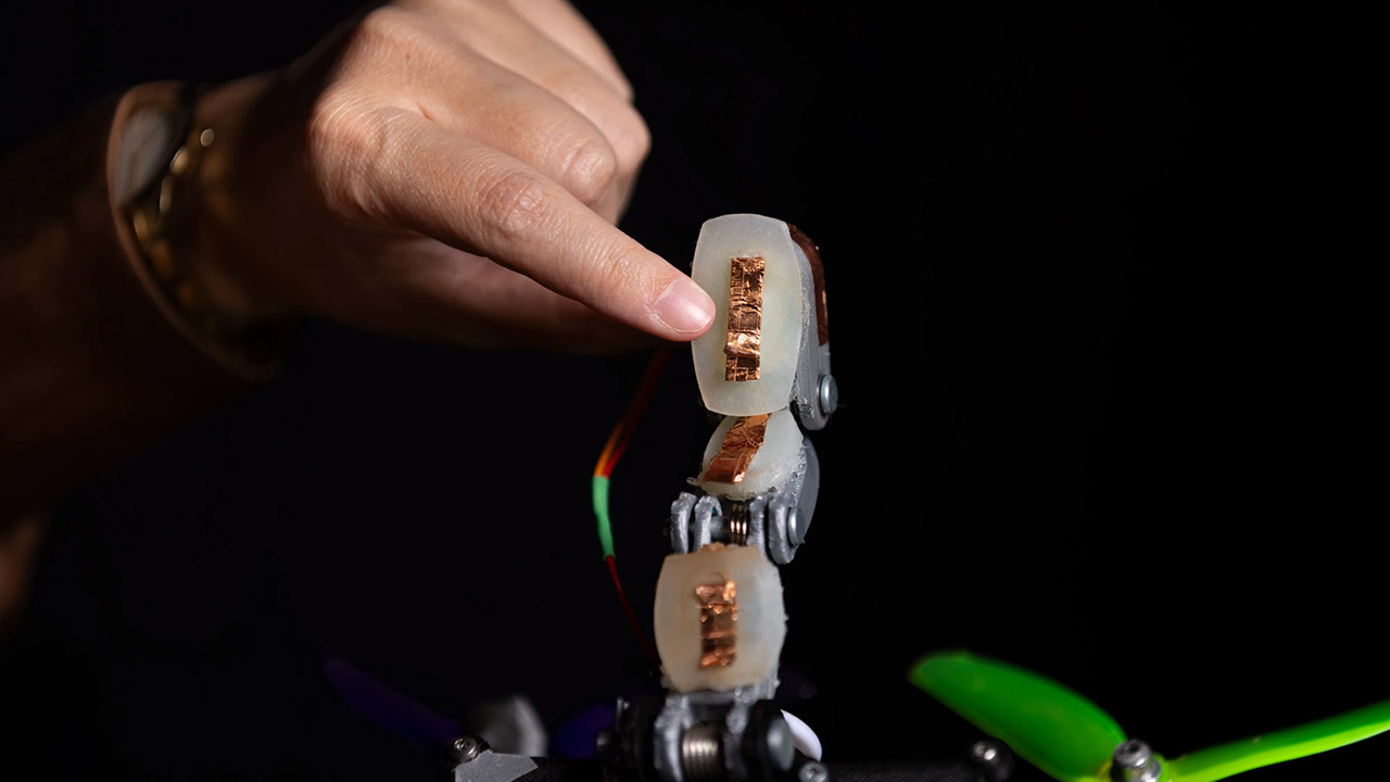 TU Delft Bird Drone Branches