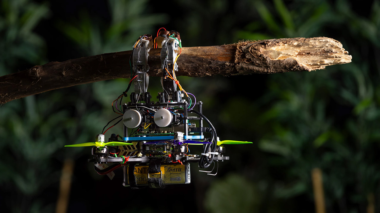 TU Delft Bird Drone Branches