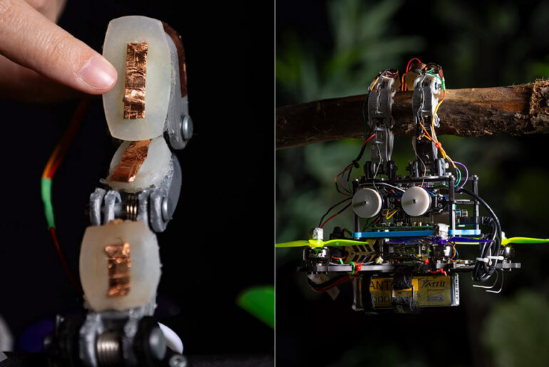 TU Delft Bird Drone Branches