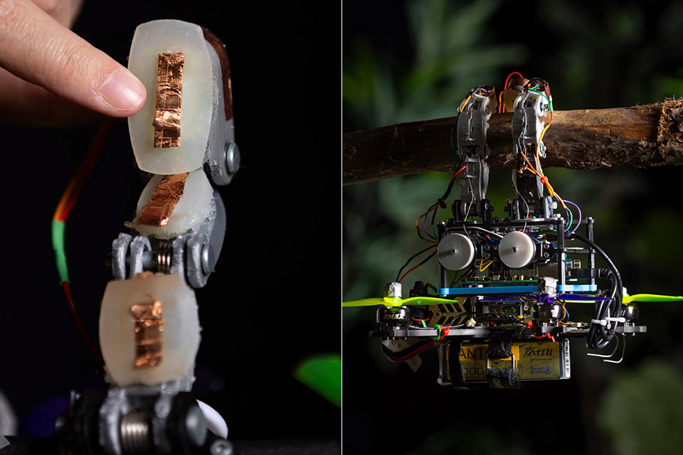TU Delft Bird Drone Branches