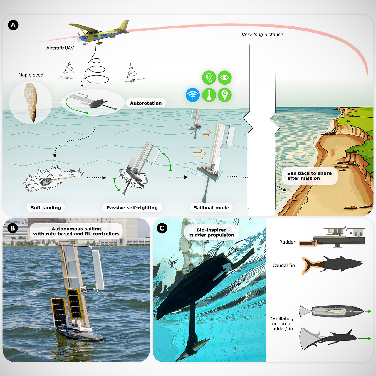 ALBATROSS Robot Maple Seed Rotation Sail