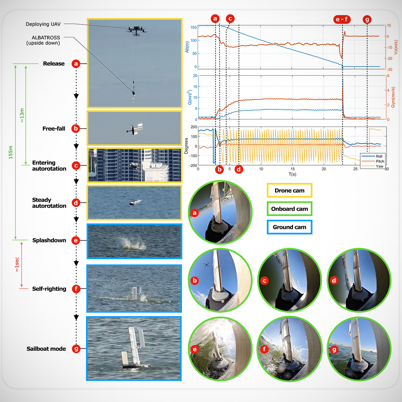 ALBATROSS Robot Maple Seed Rotation Sail