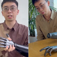 BrainCo Intelligent Robot Hand