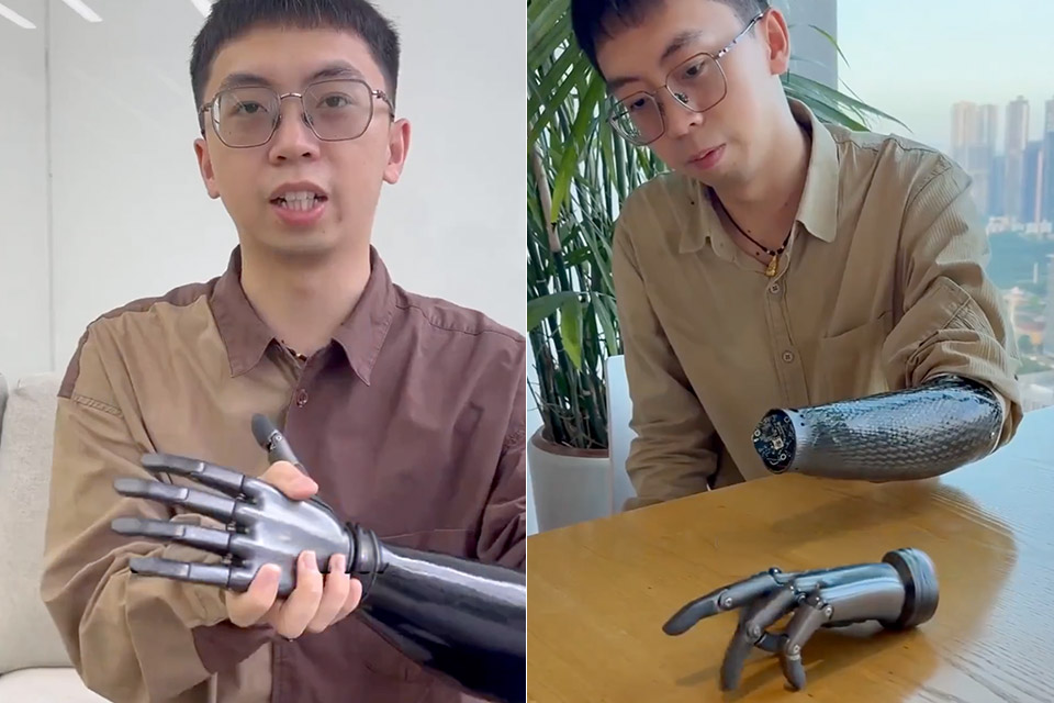 BrainCo Intelligent Robot Hand