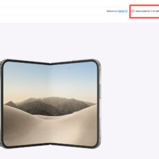 iPhone Duo Preorder Delay