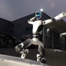Unitree H2-X Kung Fu Robot