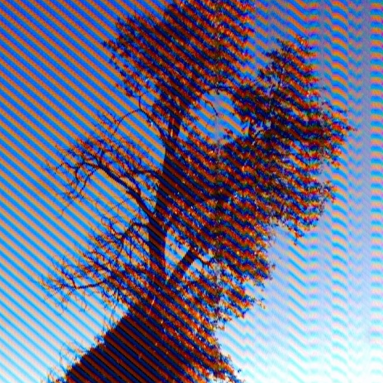 Epix Pro Camera 1996 Sample Photo