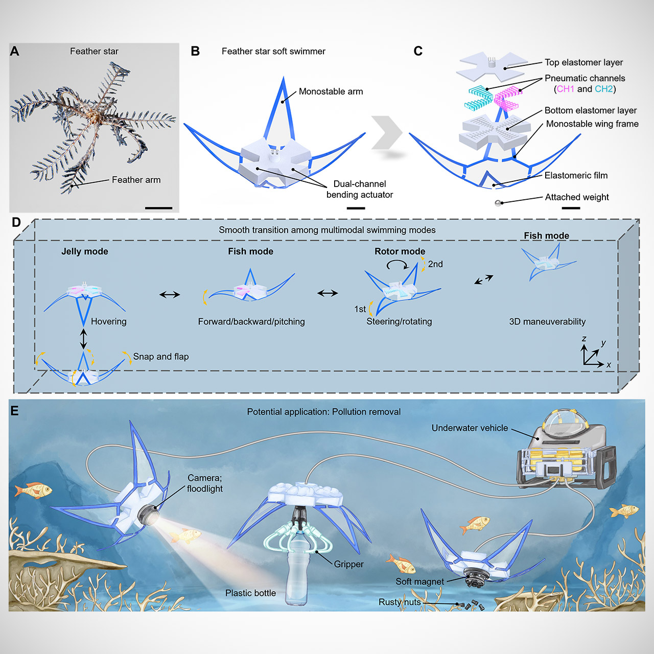 NC State Feather Star Robot 3D