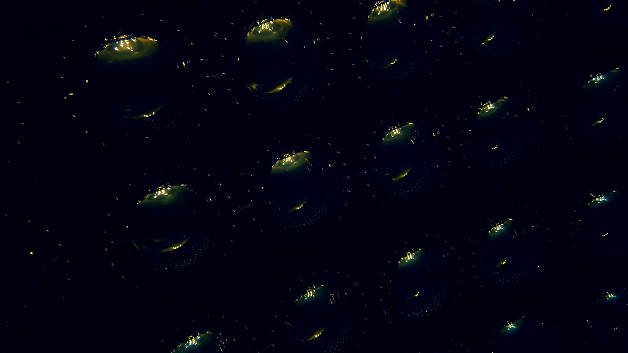Inside Japan's Super Kamiokanda Neutrino Detector Japan